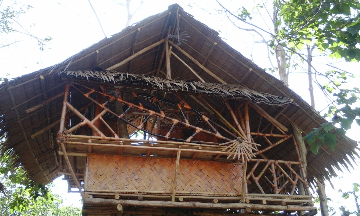 Chilling Tree House