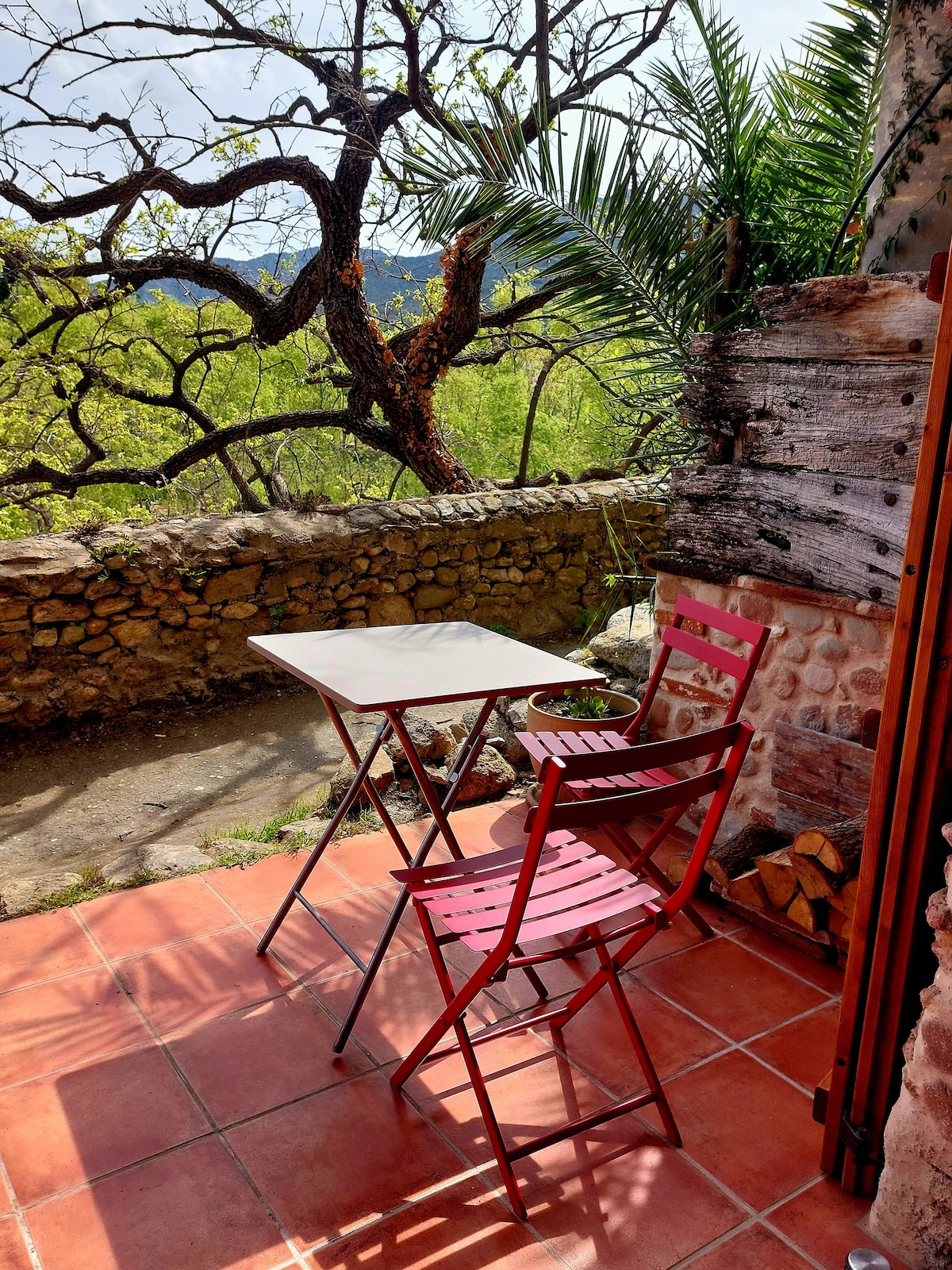 Beau studio avec terrasse aux pieds des Albères