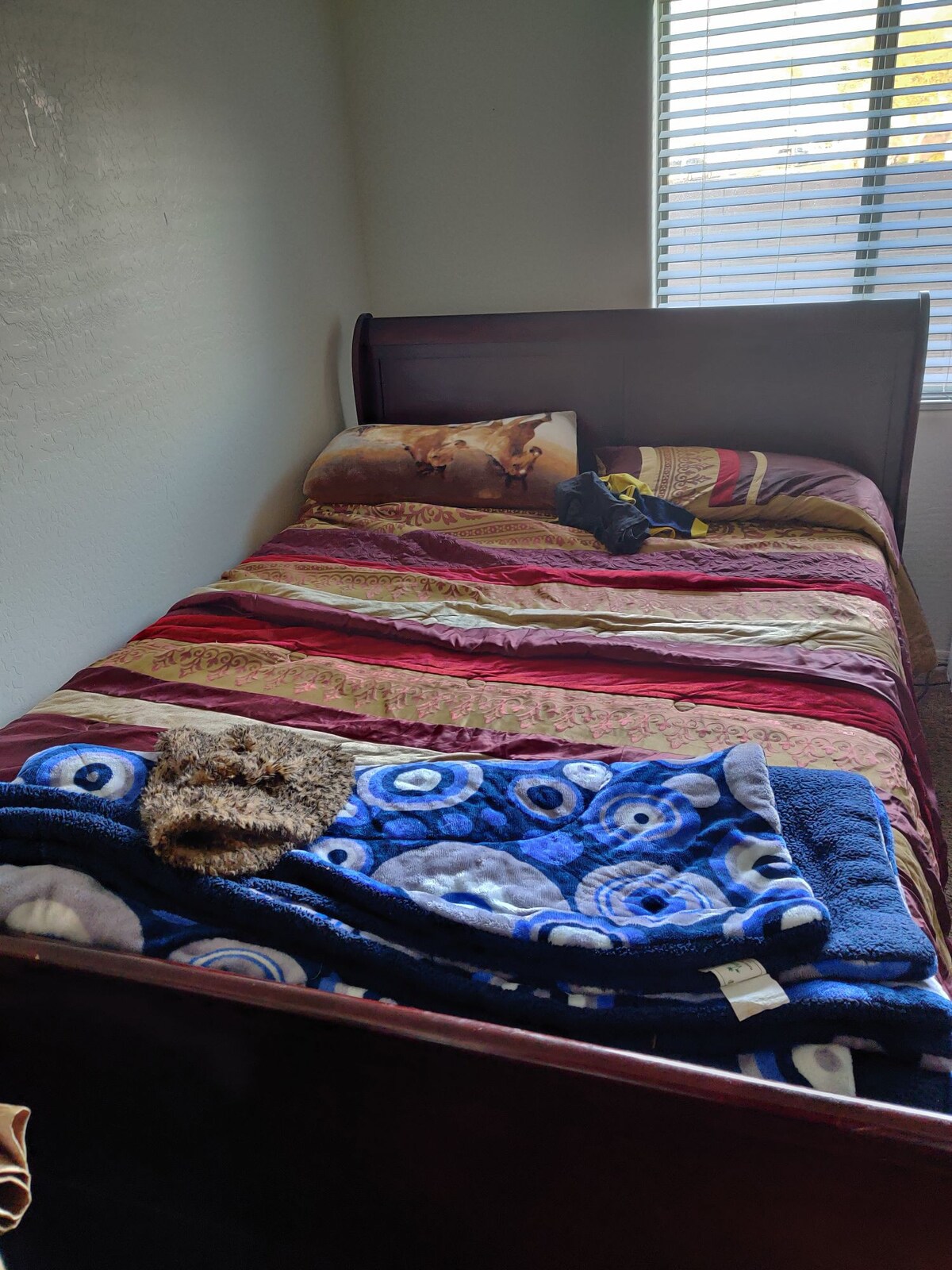 Private Bedroom in Buckeye