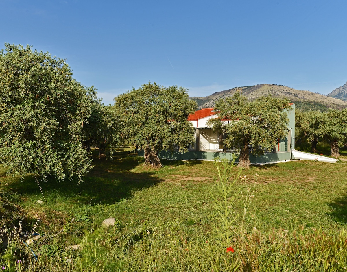 Villa "Elaeda - Niki" Skala Prinos Thassos