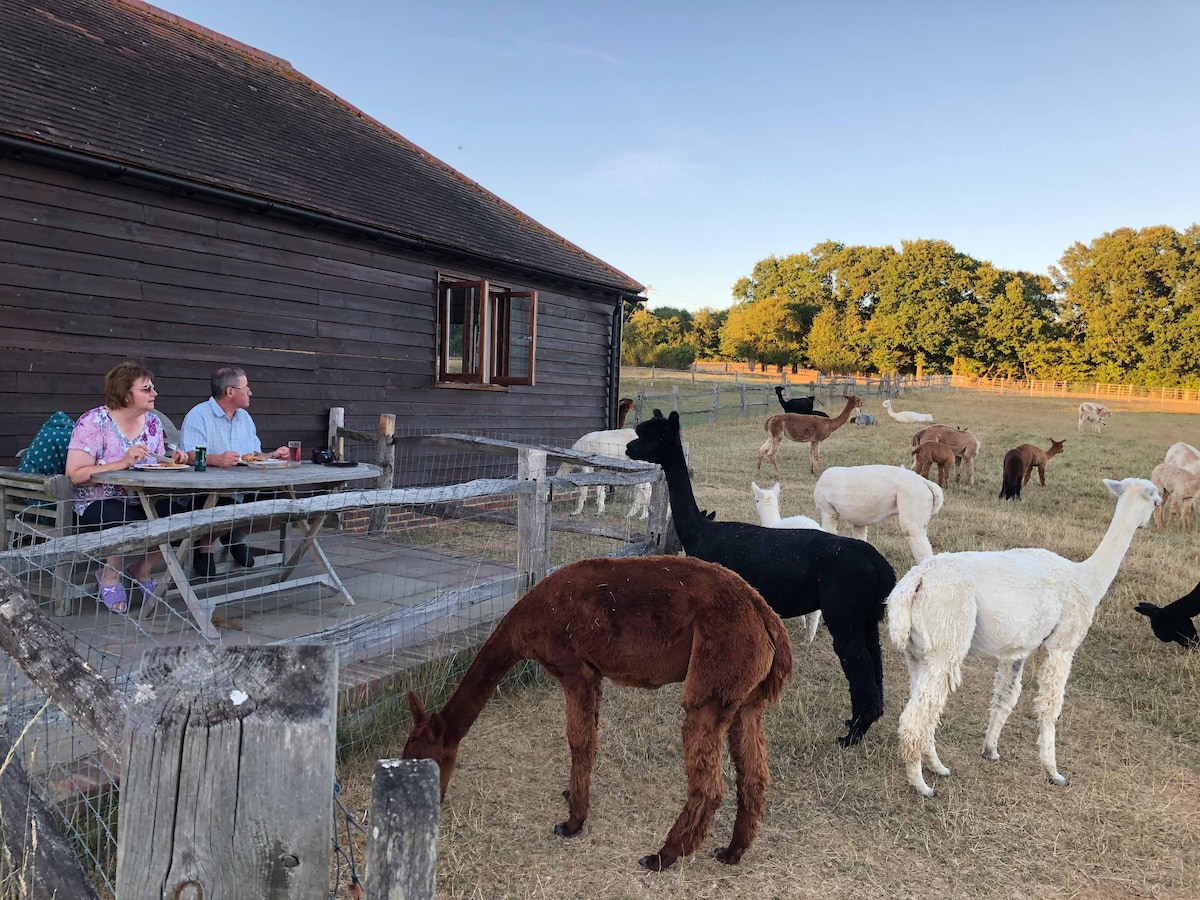 羊驼春季农场（ Spring Farm Alpacas ）小屋