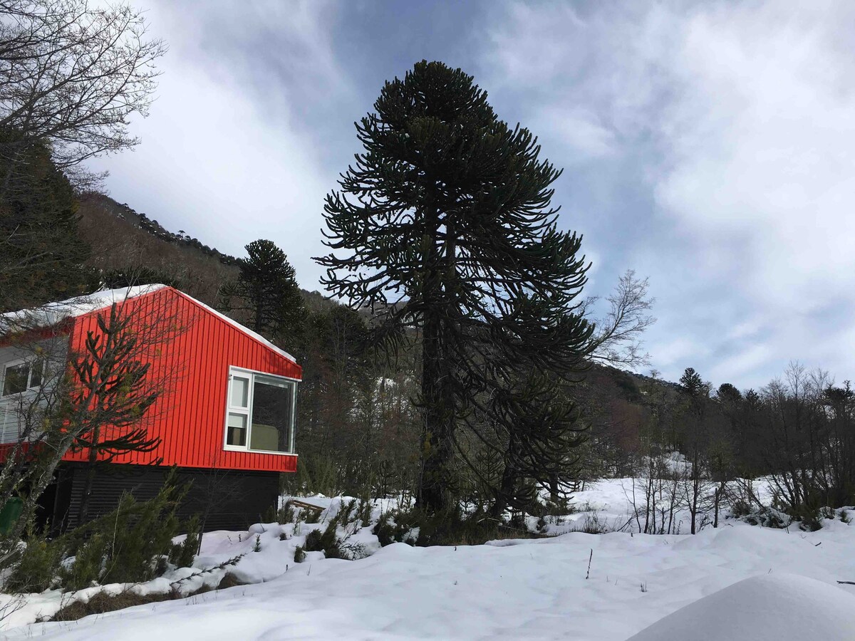 Refugio de montaña Corralco