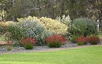 Rosa Brook Cottage Margaret River