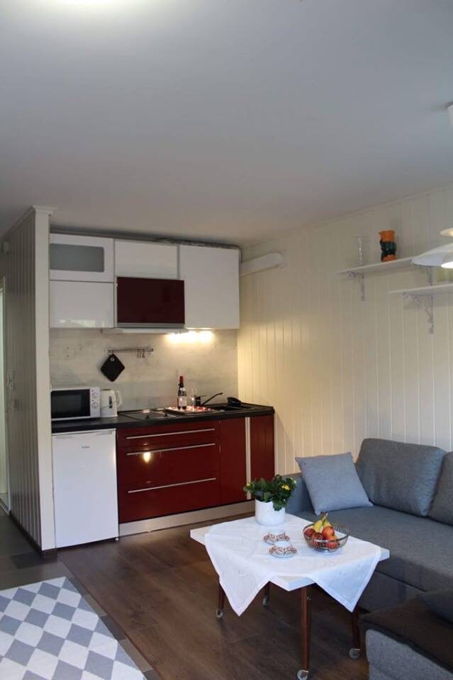 Small Cozy Apartment in Gloppen