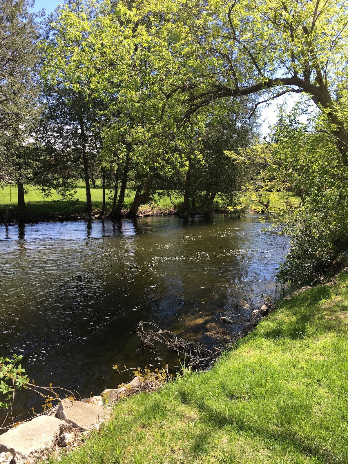 包括河畔度假胜地（ Riverside Retreat-Kayaks ） ！