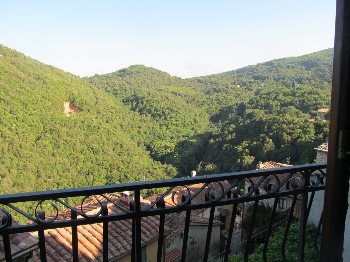 Bright apartment in Sassetta with amazing views