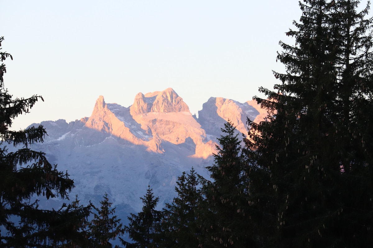 Einfach mal zur Ruhe kommen - Almhütte Kanzlahüsle