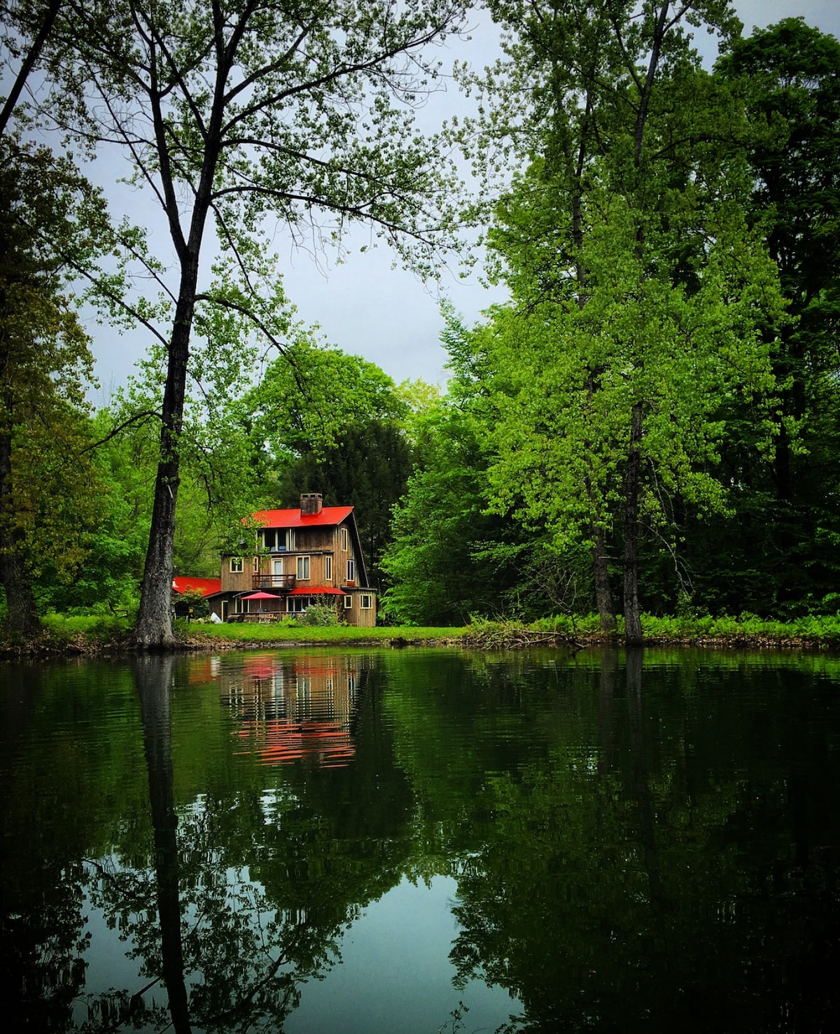 Pinecone Pond