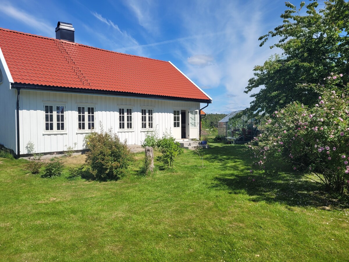 Sommeridyll i landlige omgivelser på Tromøy