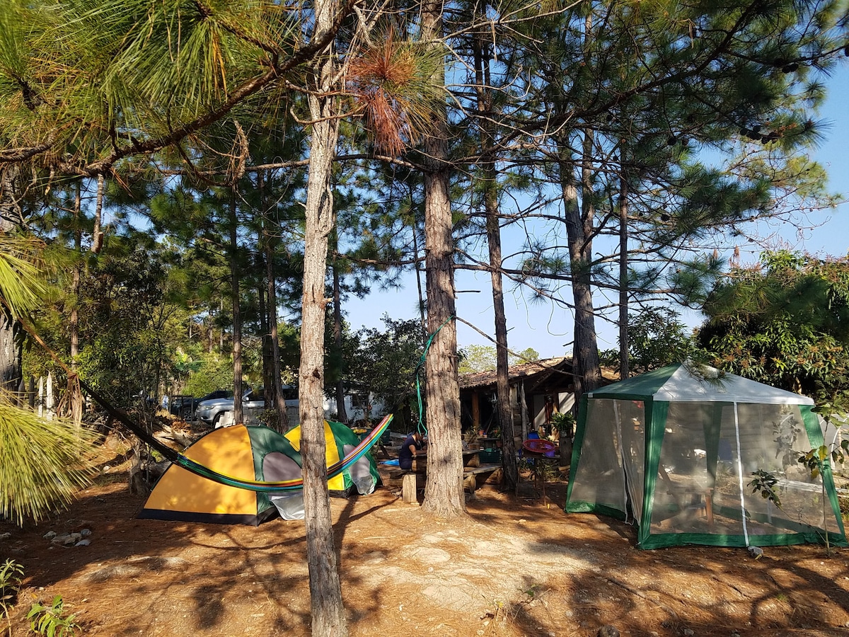 Camping en Finca Carpintero