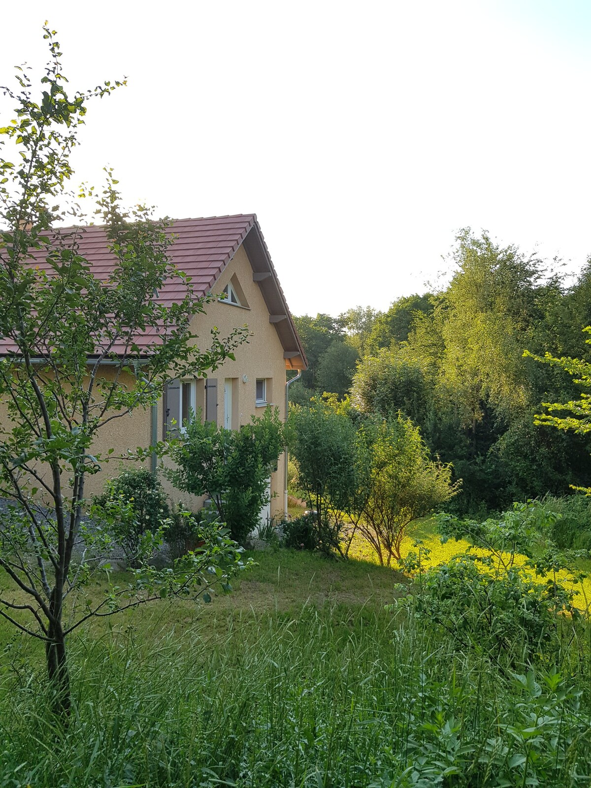 Saint-Eusèbe-en-Champsaur ：可欣赏美景的房子