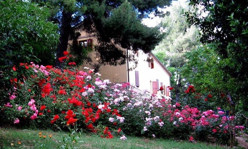 Casale nella Quiete della Campagna ，多户住宅