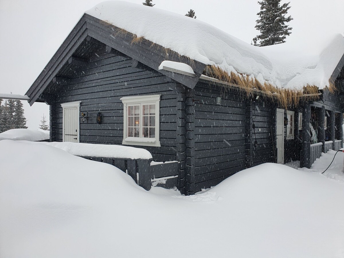 滑雪滑雪出入Hafjell迷人的小屋
