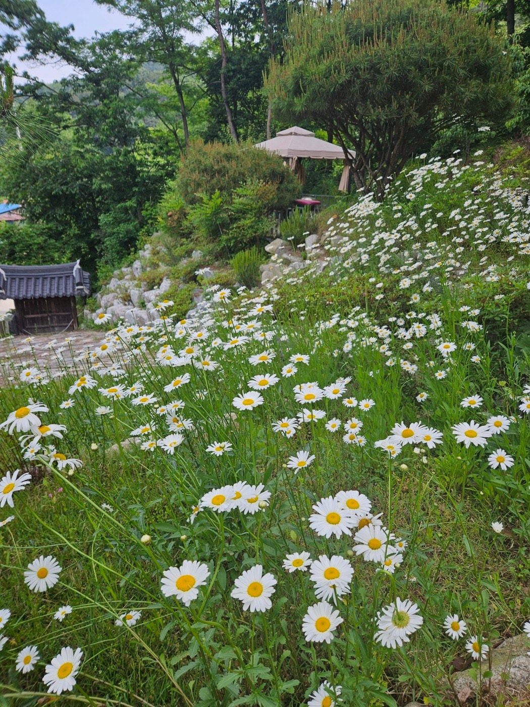 韩屋韩屋韩屋[独立房源]节日派对-爱好者休息的地方