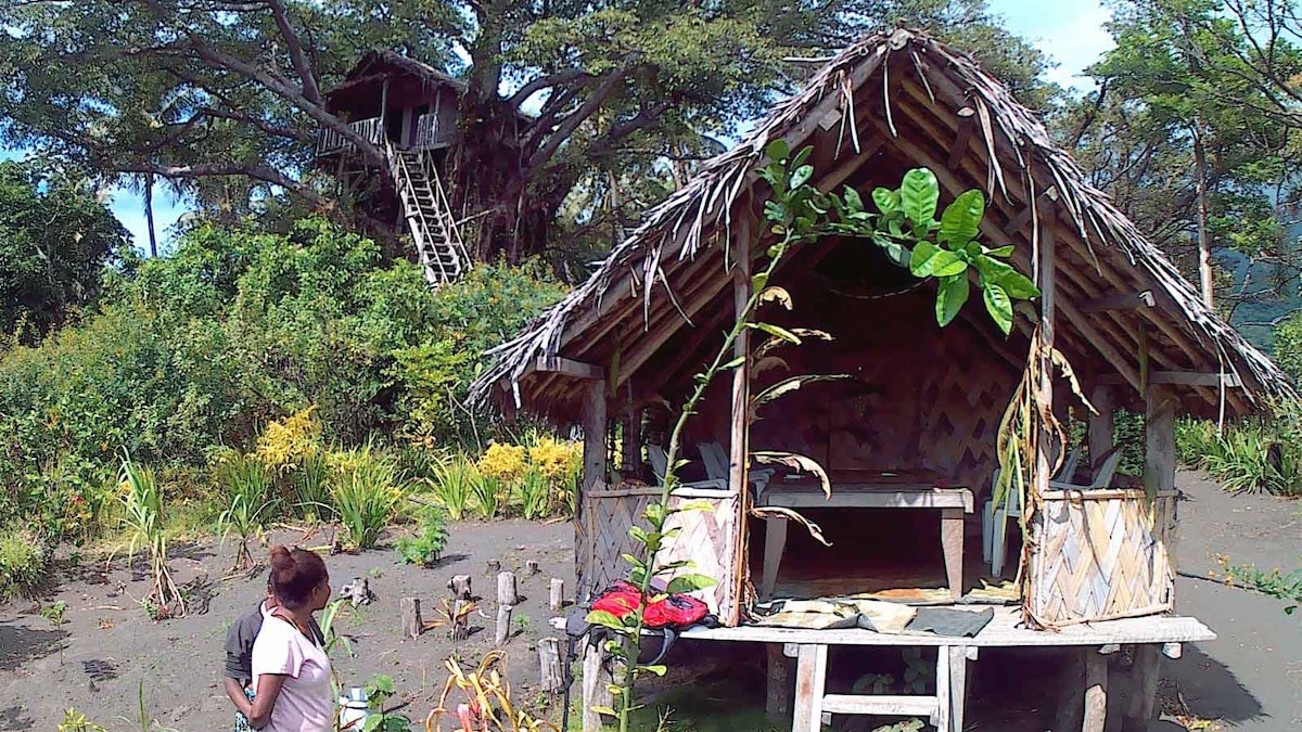 亚苏尔山火山隐蔽树屋