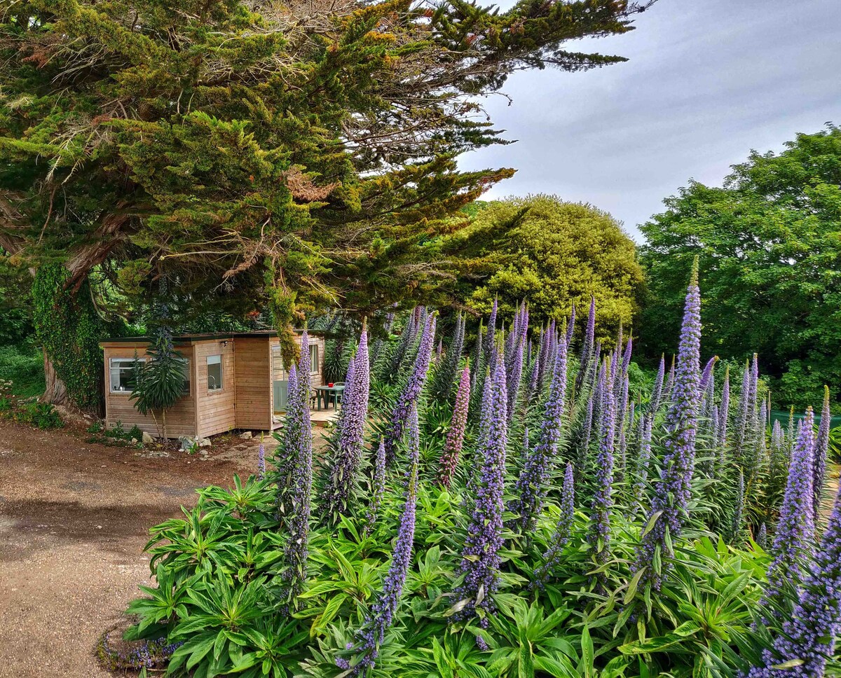 The Potting Shed at Ventnor Botanic Garden