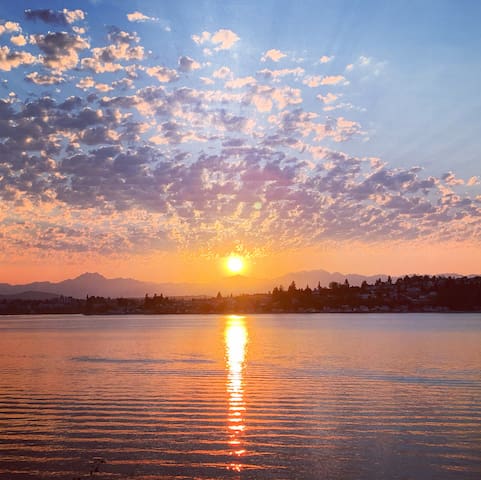 奥查德港 (Port Orchard)的民宿