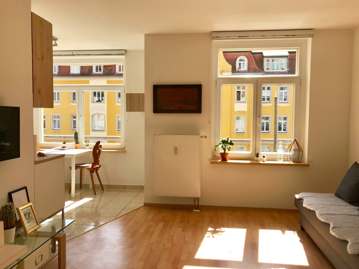 德累斯顿阳光明媚、安静的公寓-靠近市中心