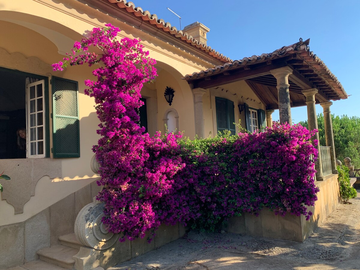 Quinta Sao Pedro w/ pool by Castelo de Vide