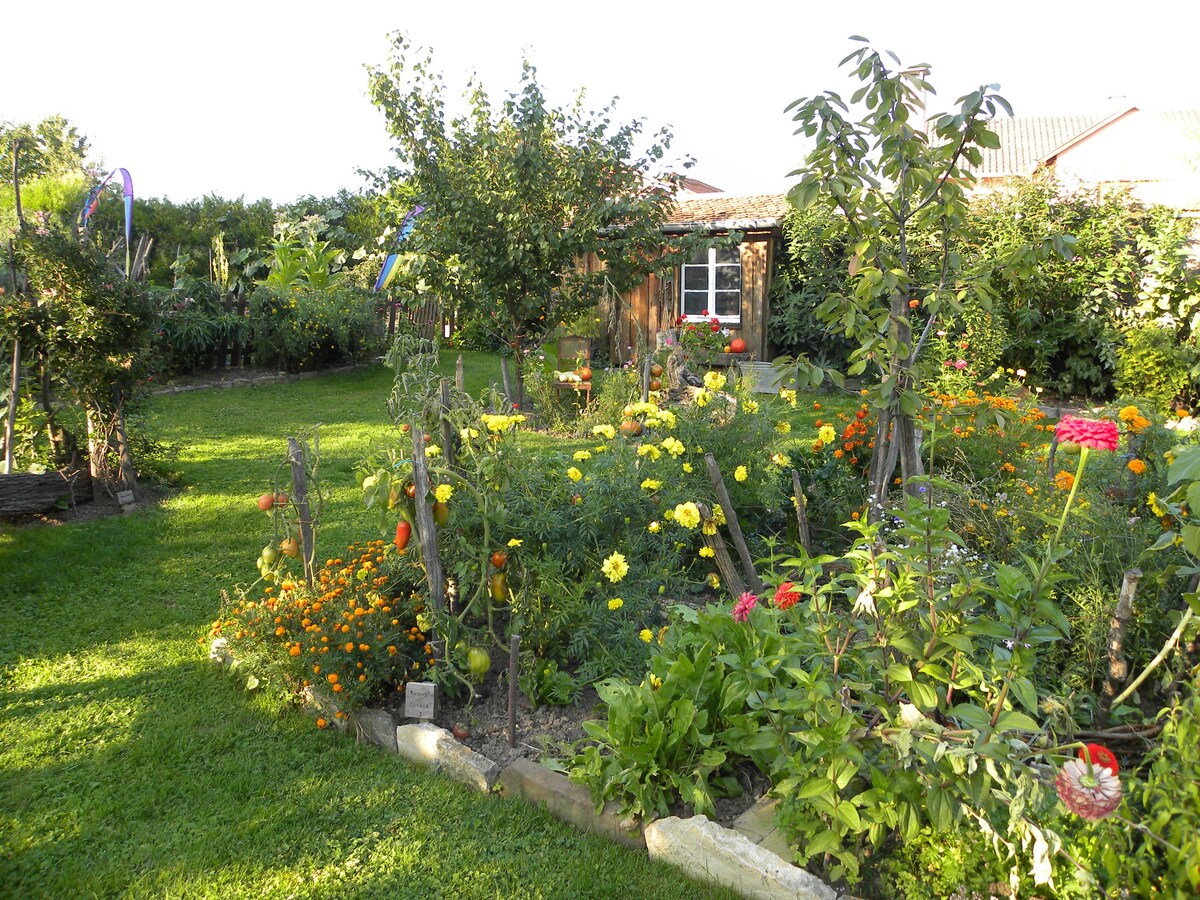 La Ferme De Marie Gîte Albert 25Min de Strasbourg