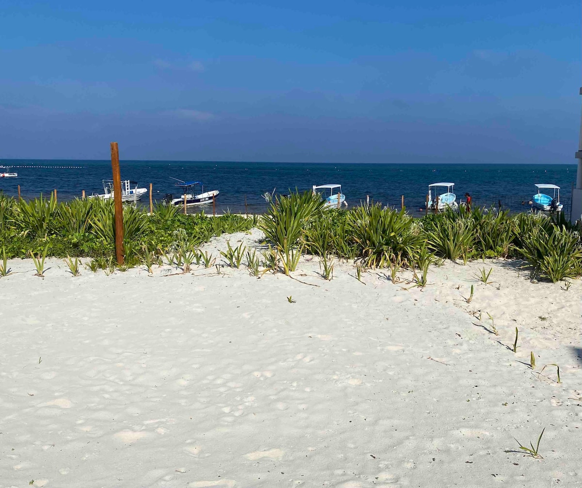 位于莫雷洛斯港（ Puerto Morelos ）的海滨别墅