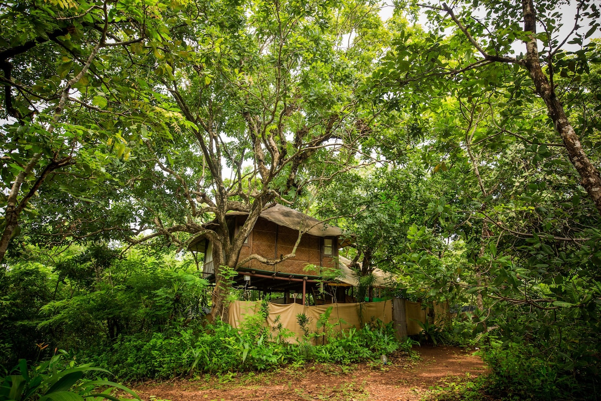 生态村树屋（ Ecovillage Treehouse ） - 8号