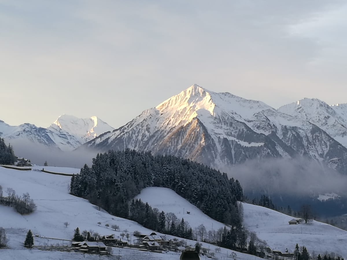 Ackaert Ferienwohnung Top of Thun