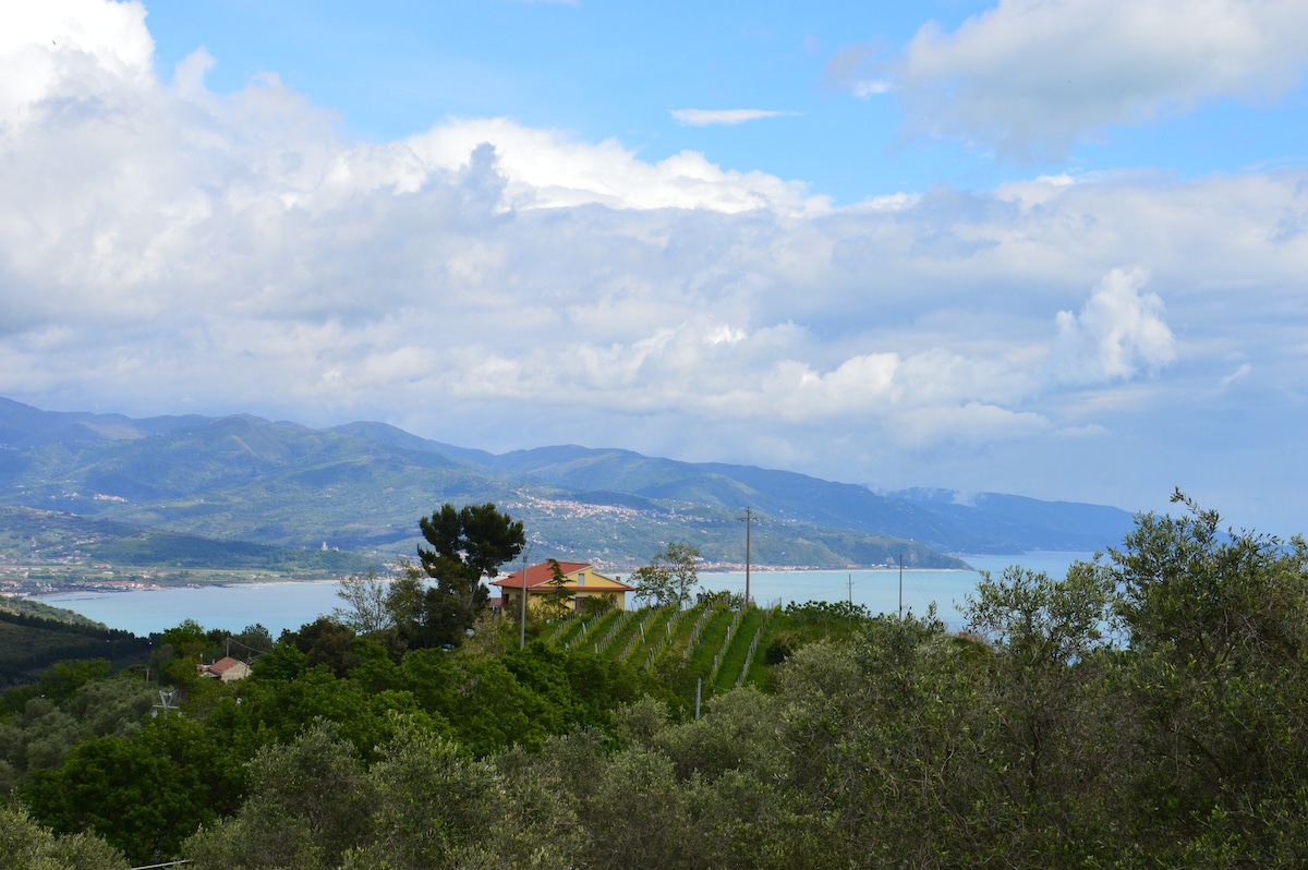 西尼娅乡村住宅cilento pollica