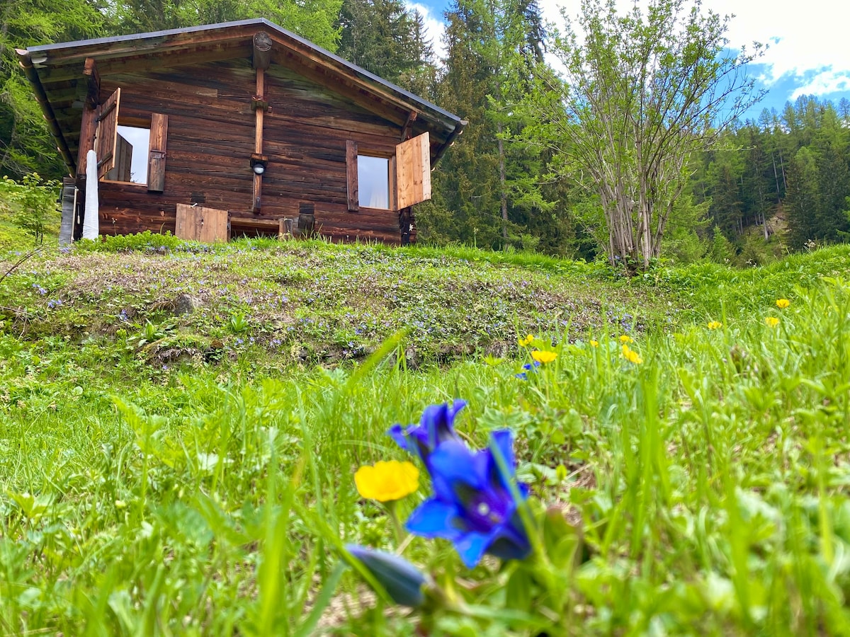 Sommerhaus für Naturliebhaber und Geniesser