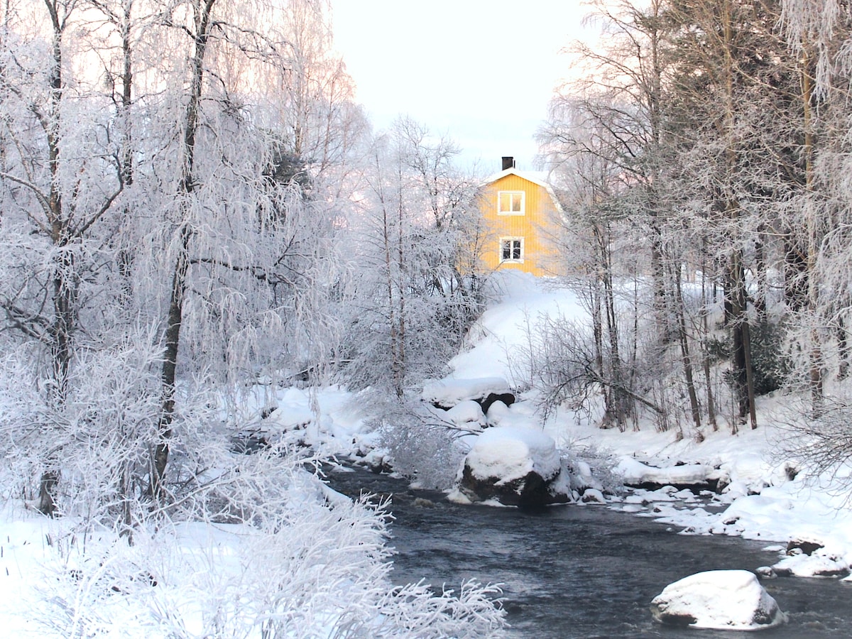 Lapland Lights - Lakeside Cottage in Svanstein