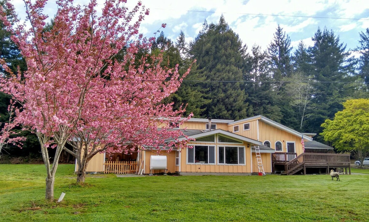 R2 Two bed room in redwood forest, peaceful farm