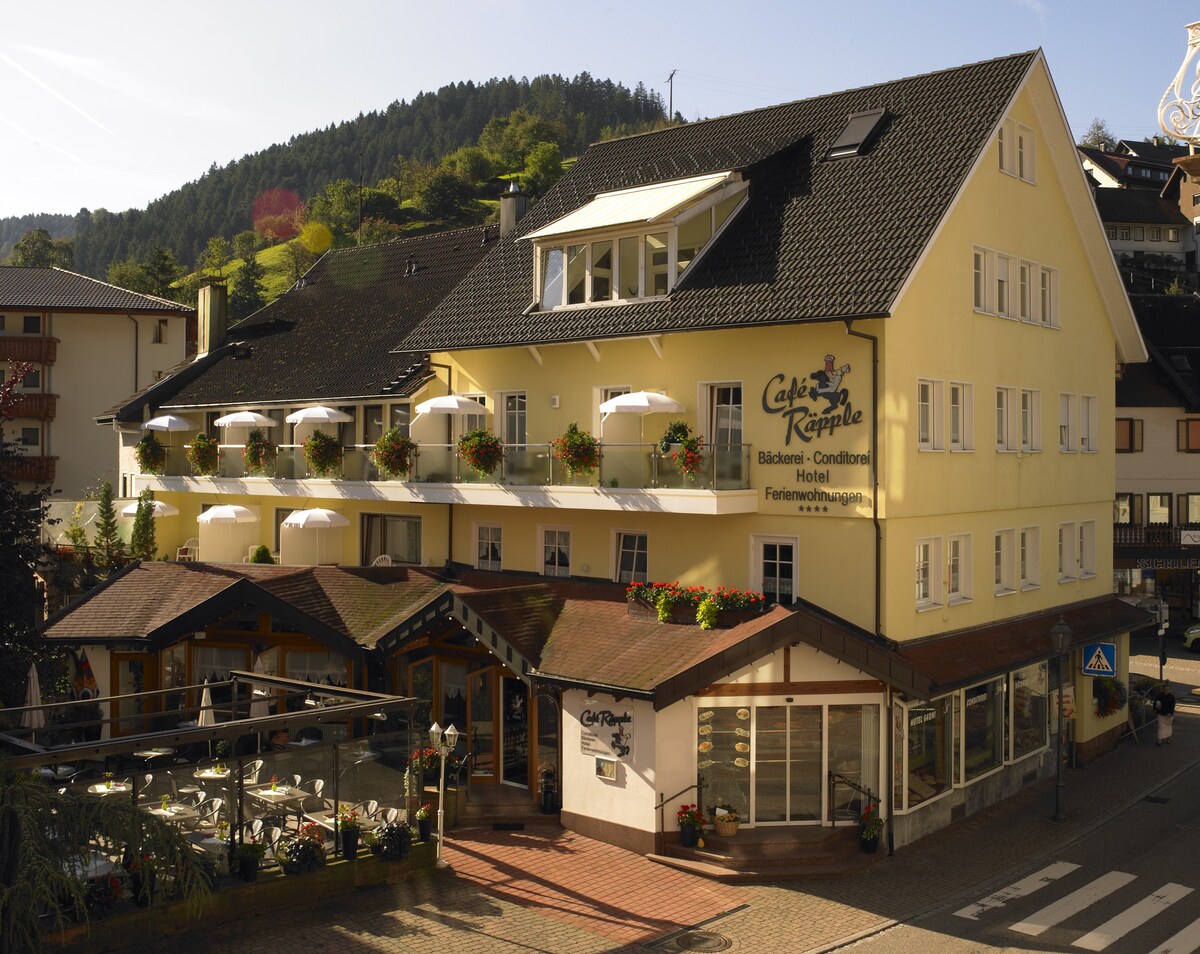 Hotel-Garni Café Räpple ， （ Bad Peterstal-Griesbach ） ，豪华双人客房2 ， 45平方米，独立客厅和卧室