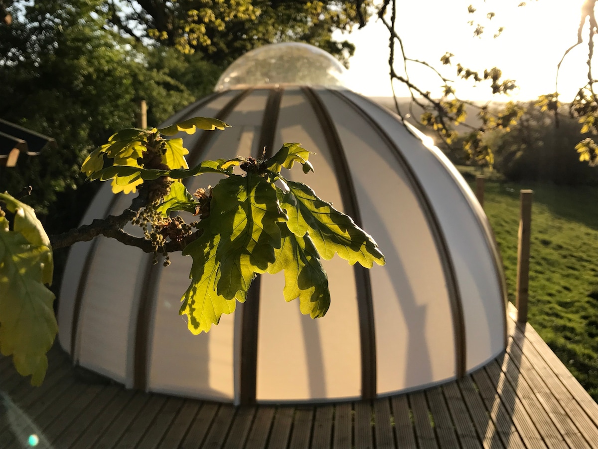 Romance at Oak Tree Dome - Un