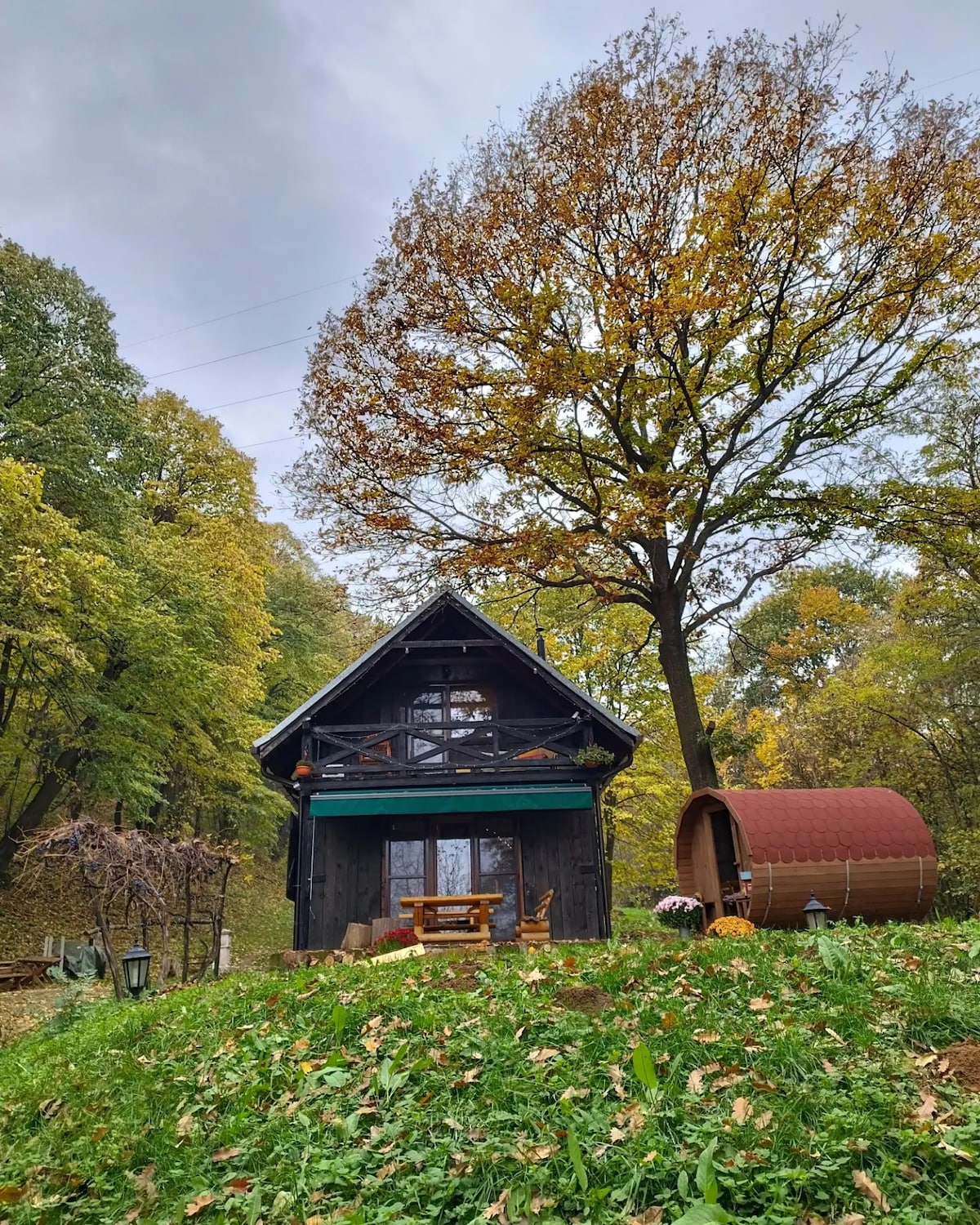 Rent a Forest, Cabin Hidden in the Fruška gora