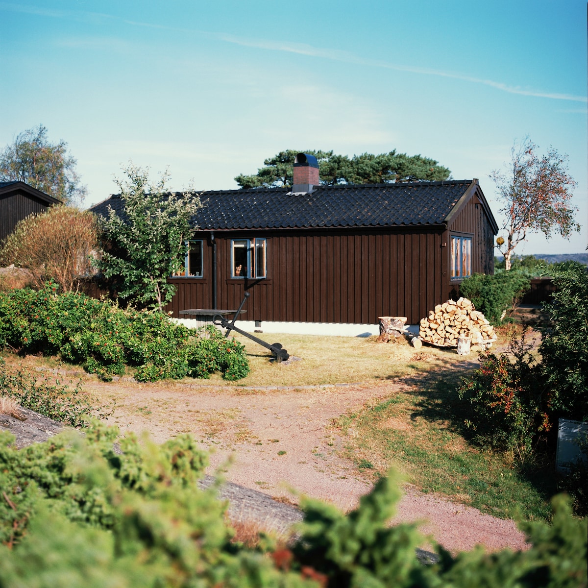 Seaside creative retreat: 70s cabin, 6 ppl