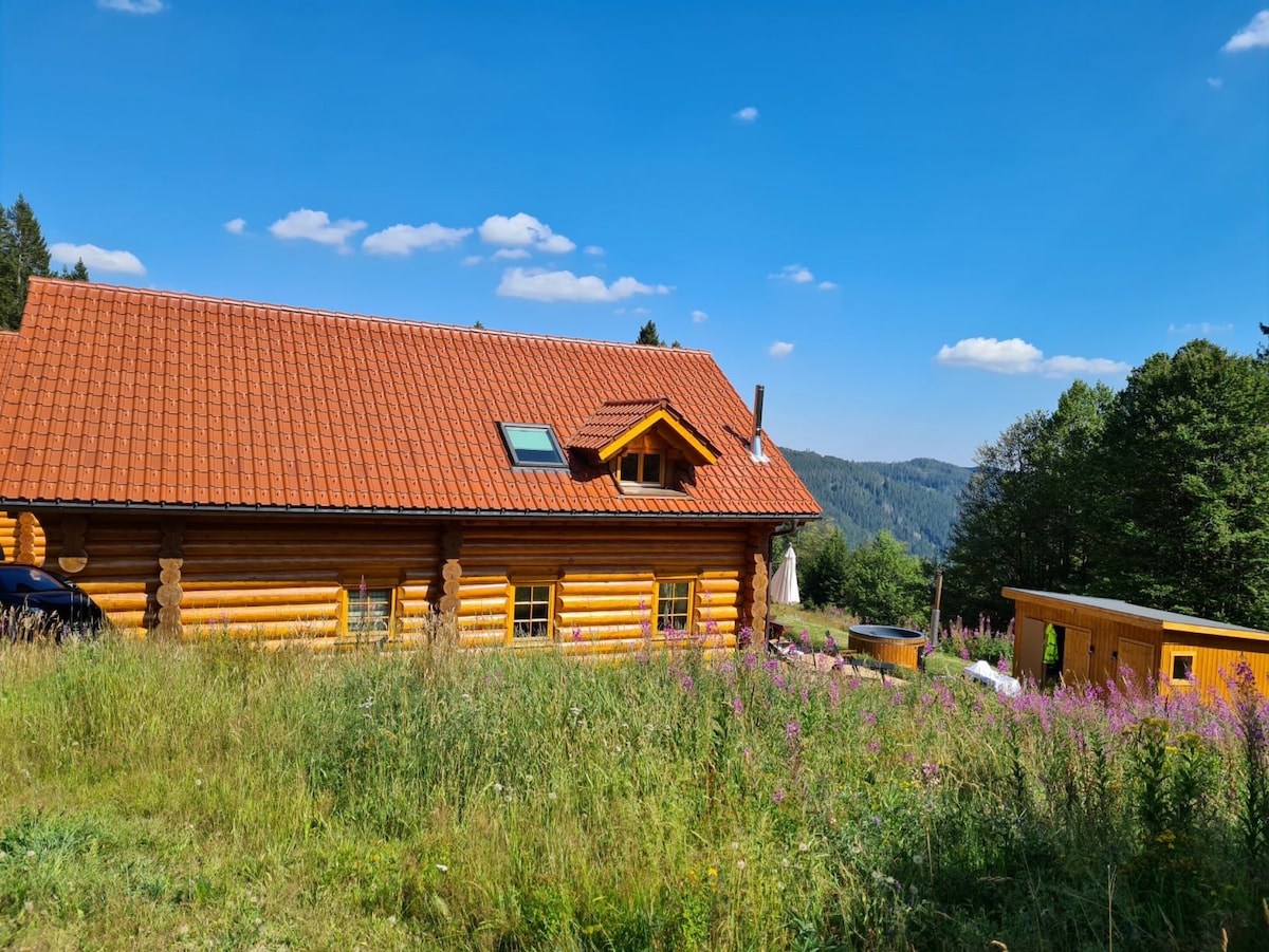 豪华度假屋Blockhaus Chalet Nr 3 Feldberg顶级位置，配备桑拿浴室室外热水浴缸PS5壁炉，距离1300米