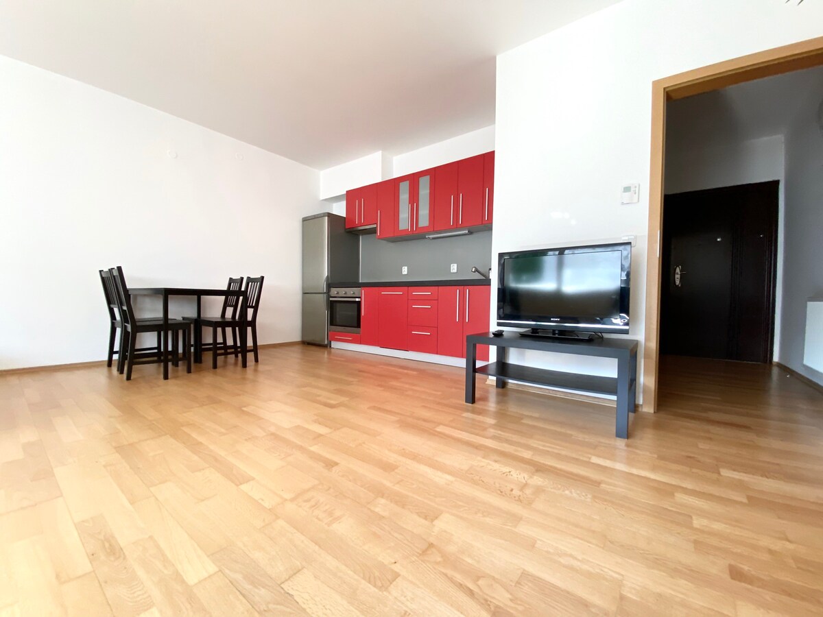 Sunny apartment close to the centre with parking