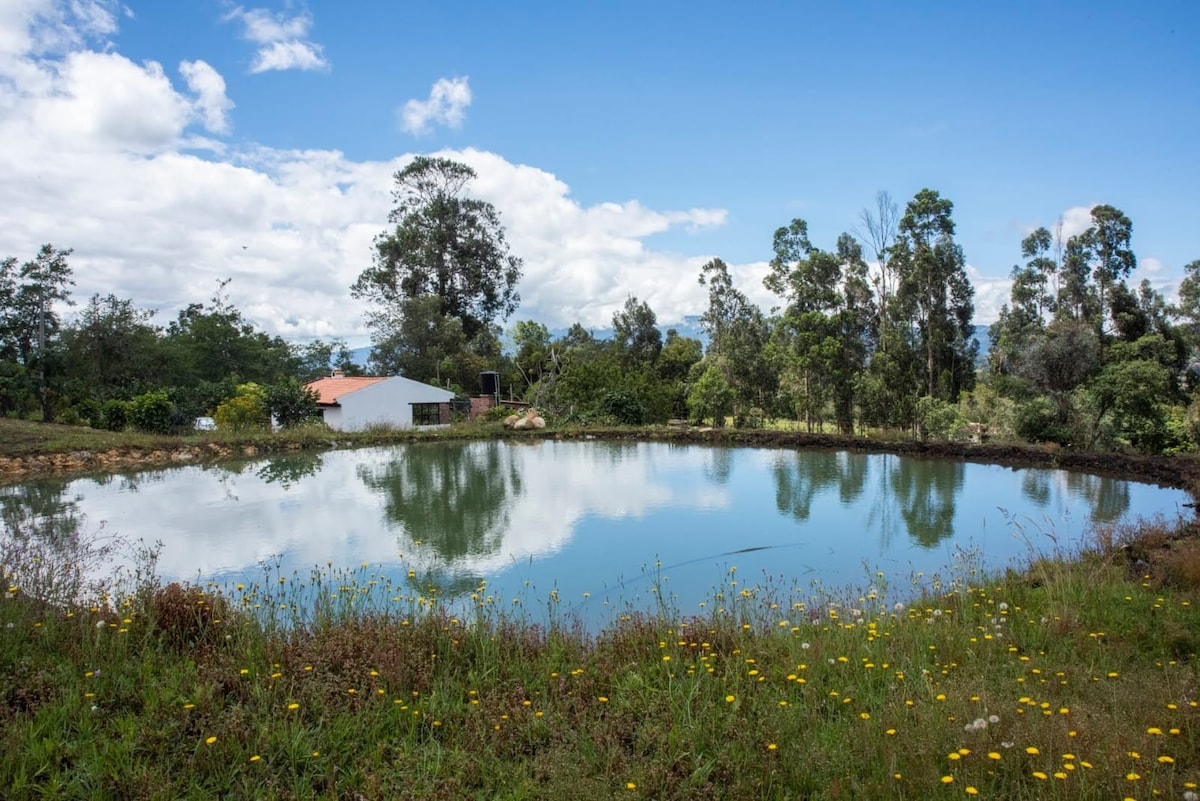 El Capricho Una Casa En El Campo