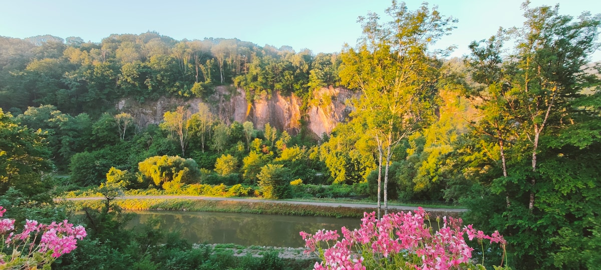 lovely apartment/gite , visit the vosges