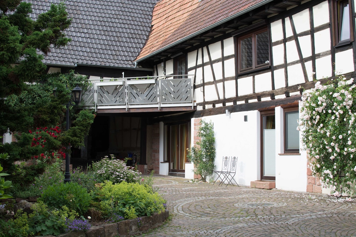 Ein-Zimmer-Apartement Kleinaberfein