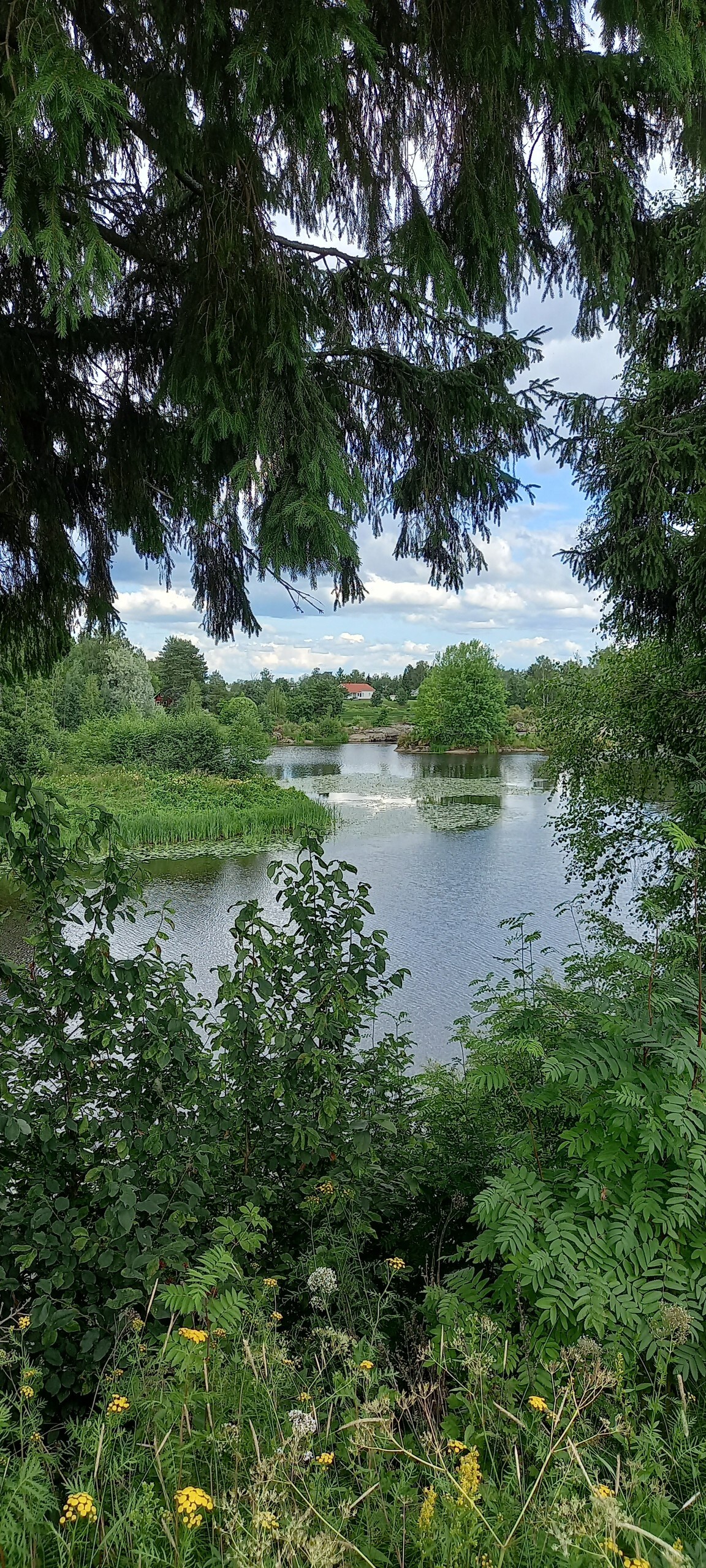 Huone työpisteellä maalaismaisemissa