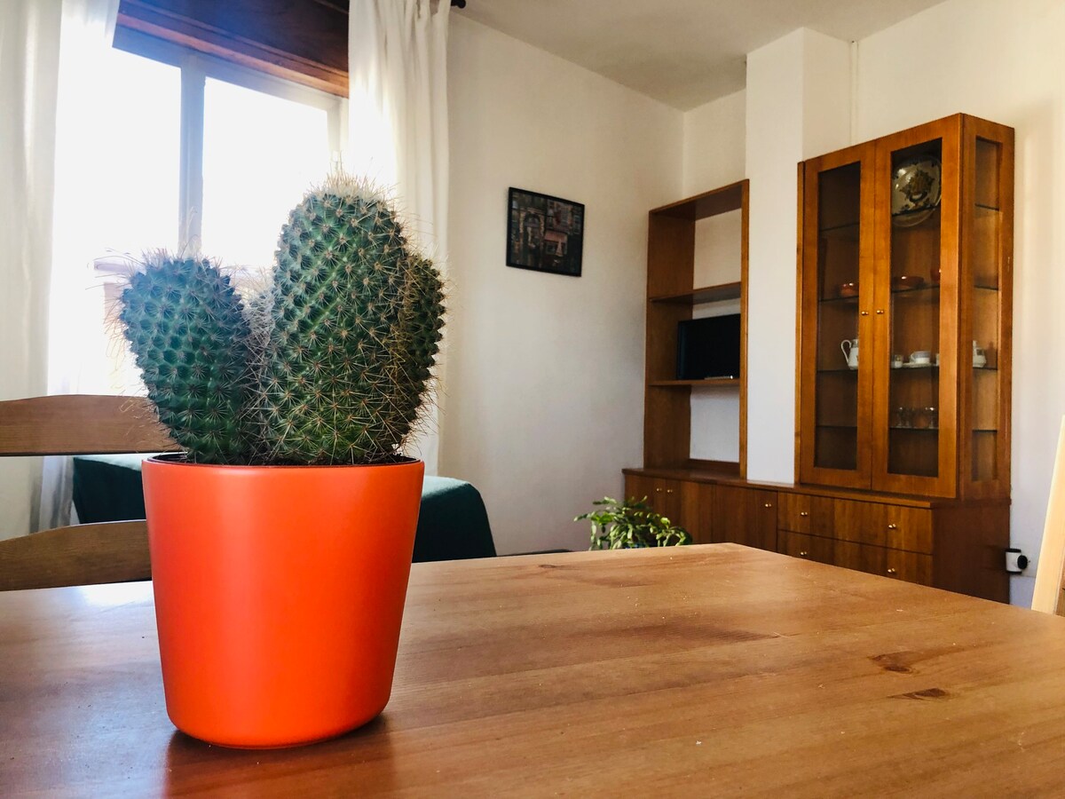 Apartamento en la Ribeira Sacra A