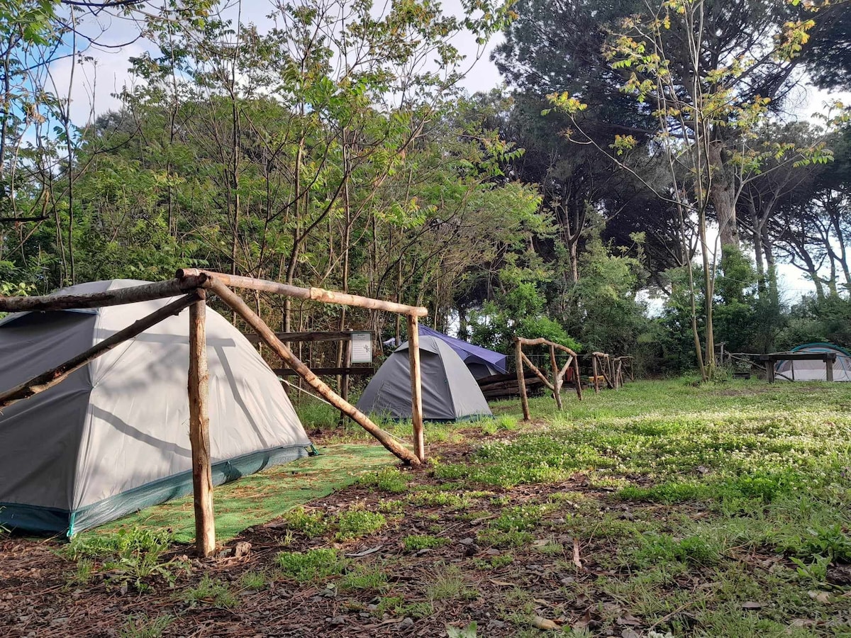 Tenda due posti Brandito’s