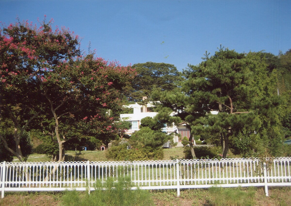 汉平（ Hampyeong ）前院有美丽的松树小屋