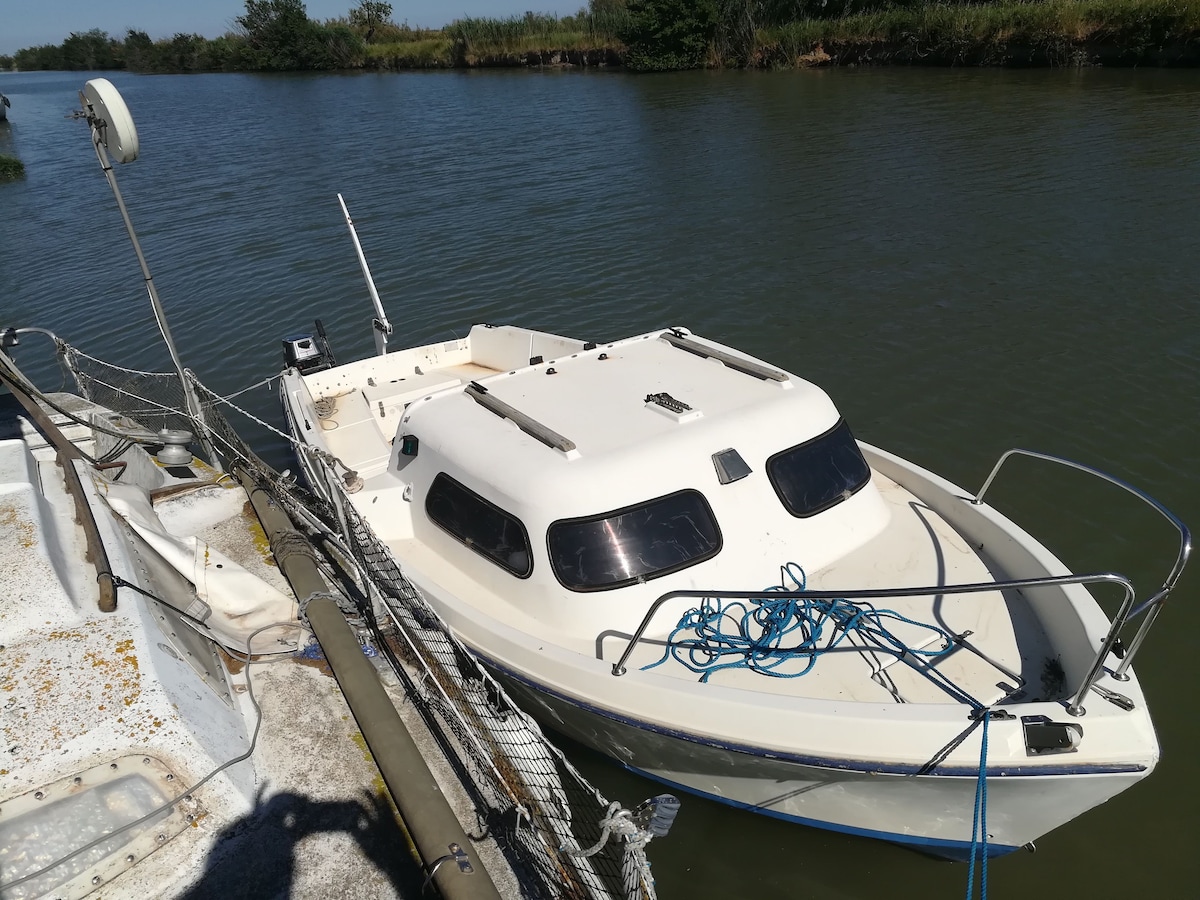 Voir la Camargue en bateau sans permis, 5 pers max