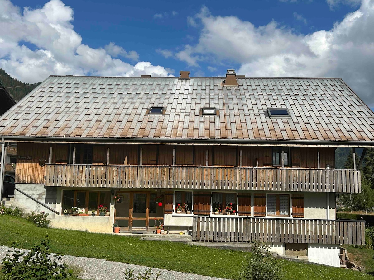 Appartement au pied des pistes.