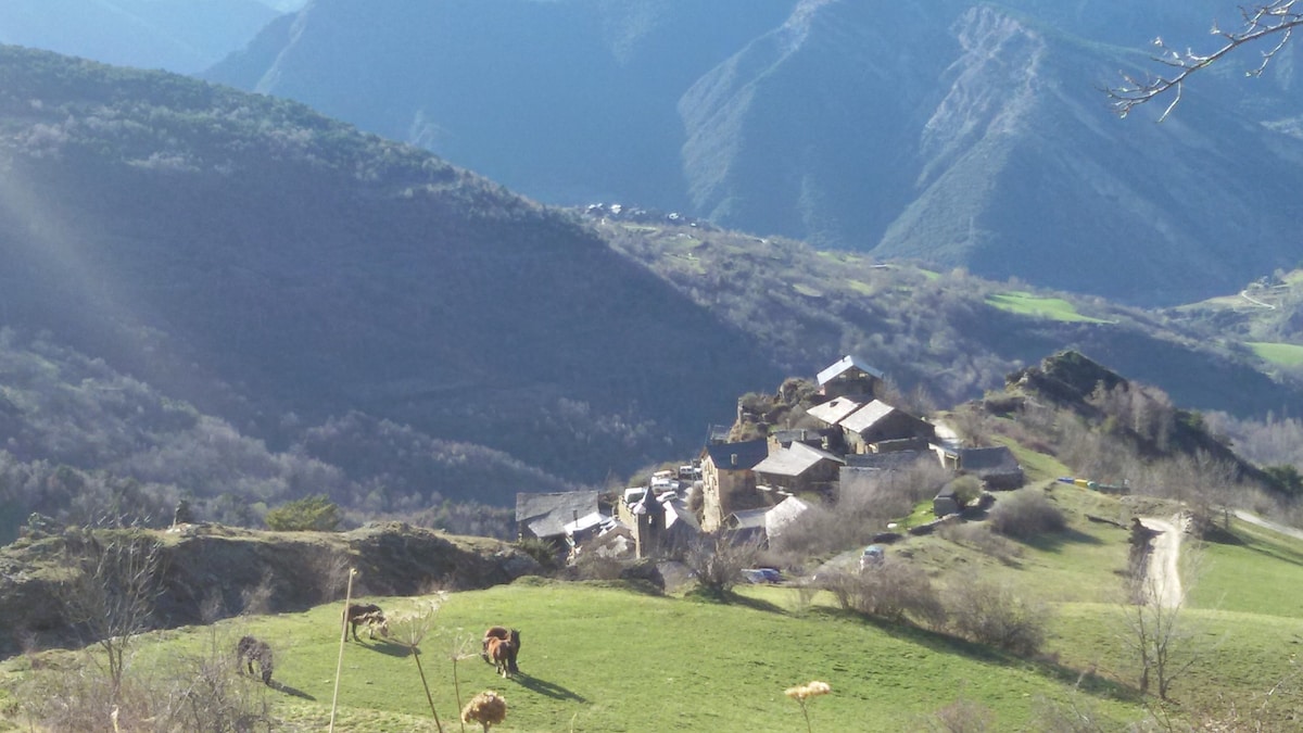 "Casa Tarrufa".. Pura Vida..