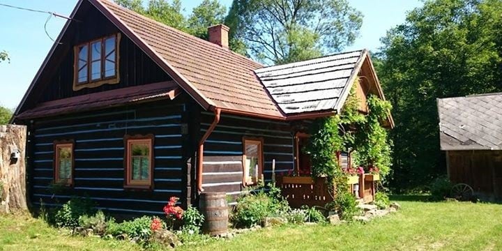 Pietrusza Wola 50 Forest Log Cabin