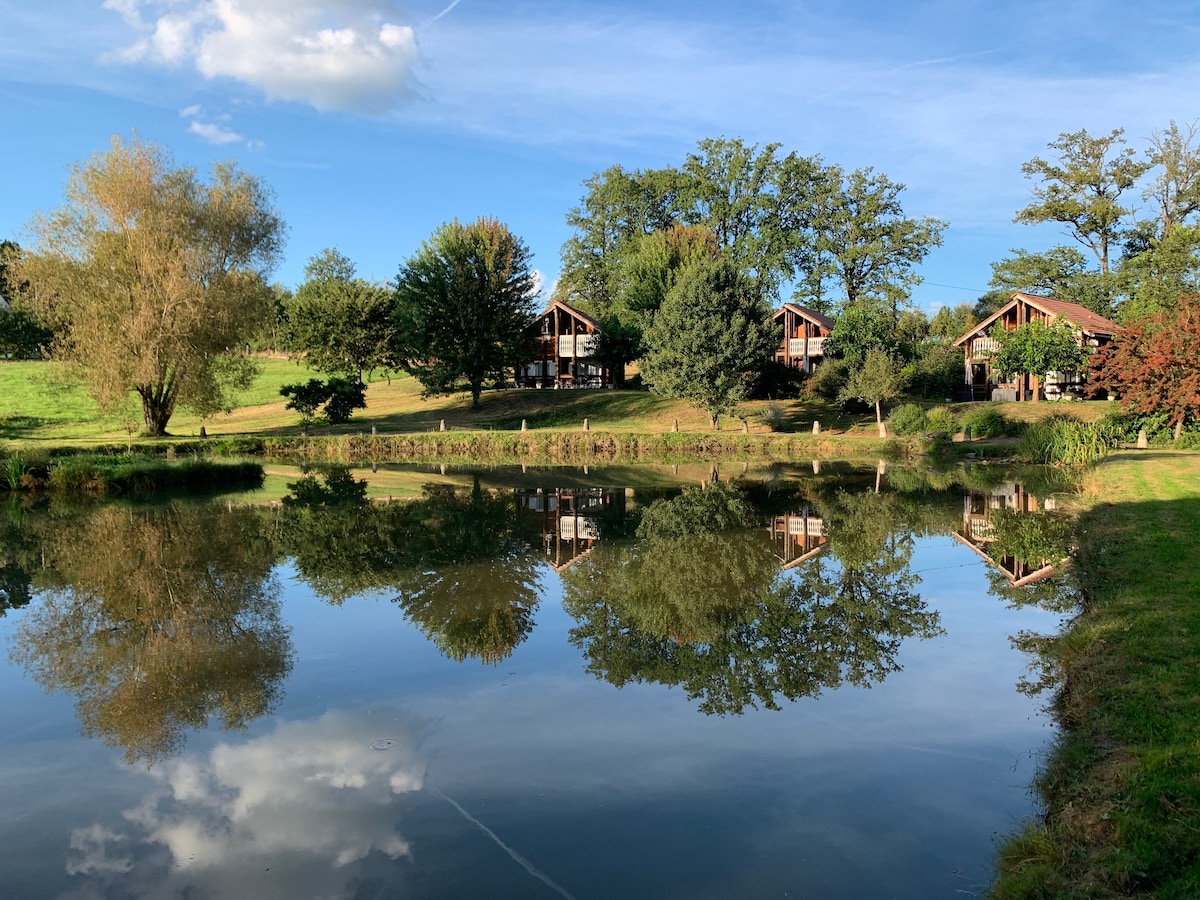 Domaine arboré avec 3 maisons bois