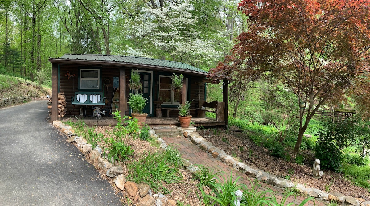 The Shady Bear Cabin